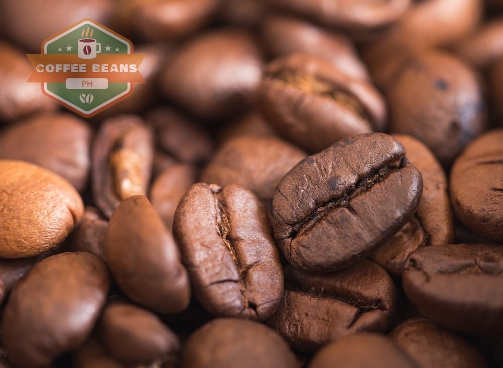 Coffee Bean Hardness