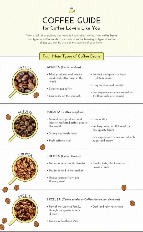 The Ultimate Guide to the Different Coffee Types