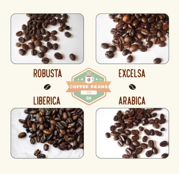 4 Types Of Coffee Beans: Profiles And Pictures