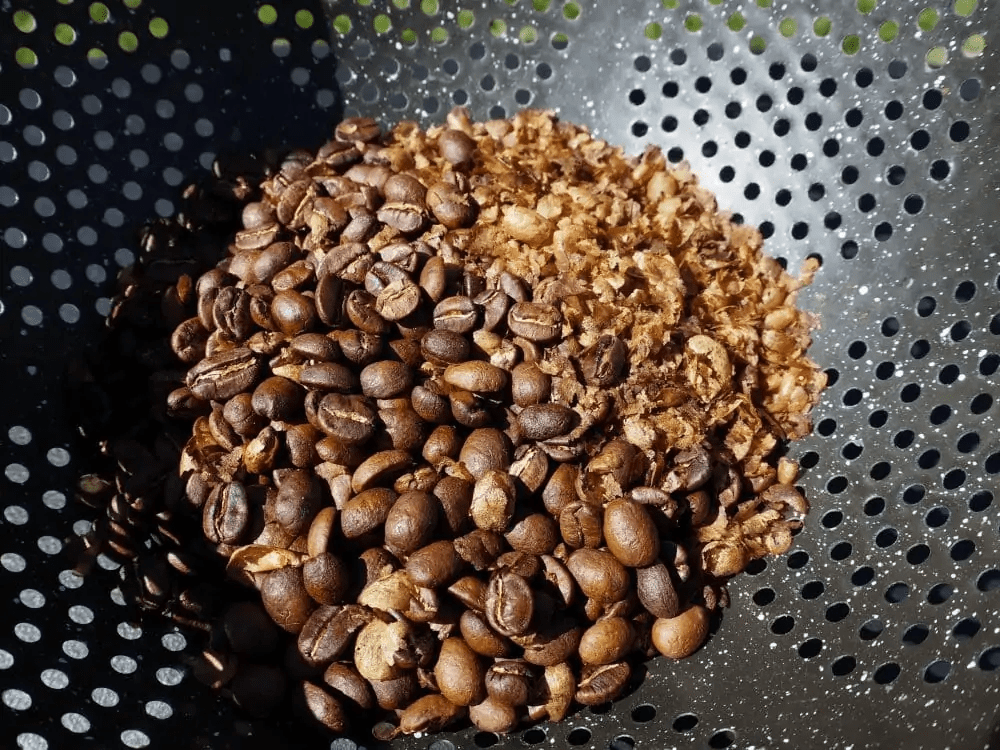 Roasted beans and chaff in colander scaled