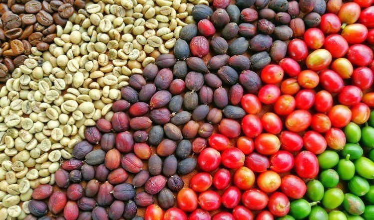 Fascinating Facts about the Coffee Industry